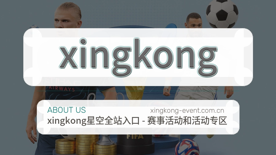 xingkong关于平台与用户服务展示